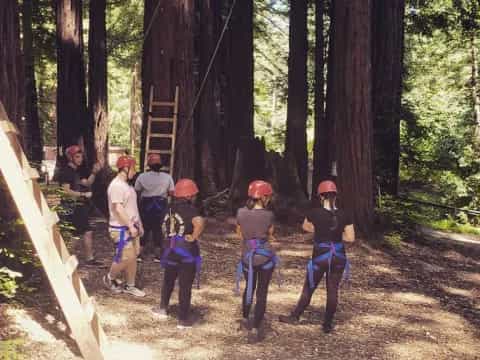 a group of people in a forest