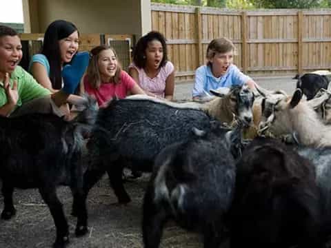 a group of kids with a group of goats