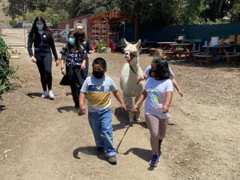 a group of people walking with a camel