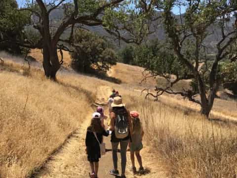a group of people walking on a dirt road with trees on either side