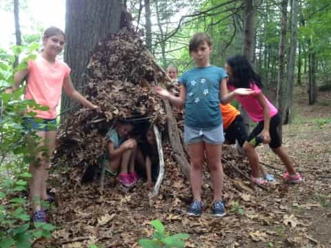 a group of people in a tree