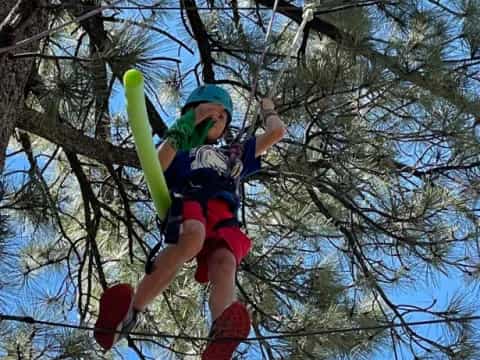 a boy climbing a tree