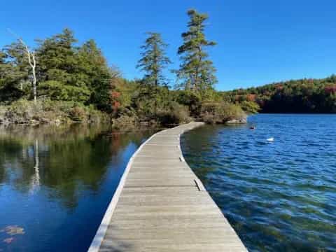 a wooden dock over water