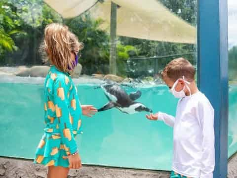 a couple of kids looking at a fish in a tank