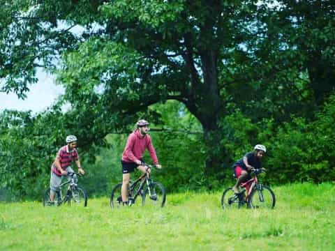 a group of people riding bikes