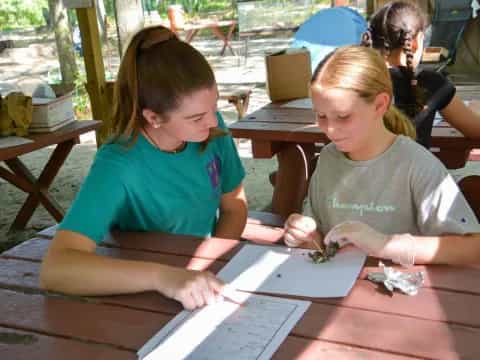 a few young girls studying