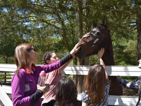 a woman feeding a horse