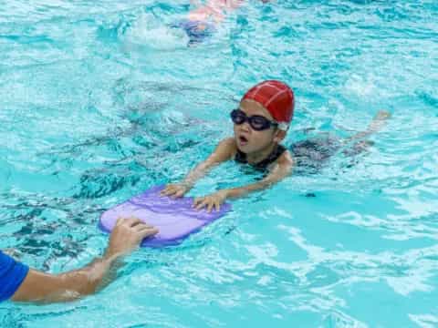 a person in a pool with a dolphin