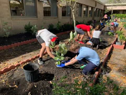 a group of people planting plants