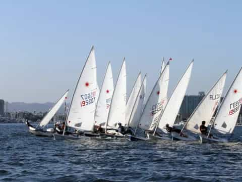 a group of sailboats on the water