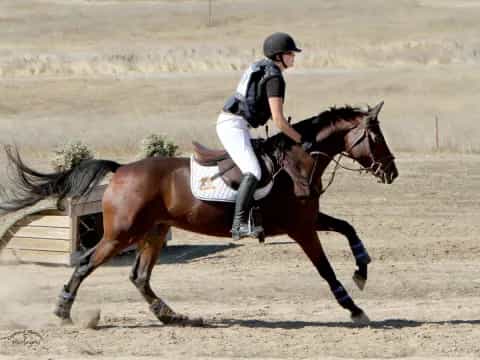 a man riding a horse