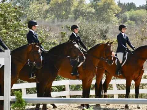 a group of women riding horses