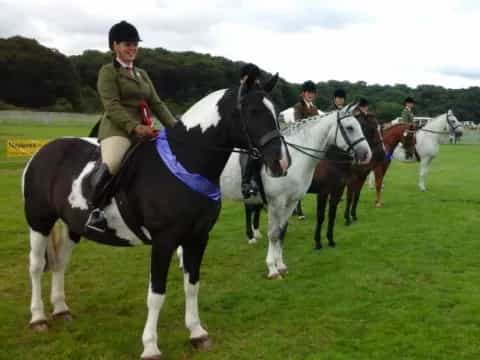 a group of people riding horses