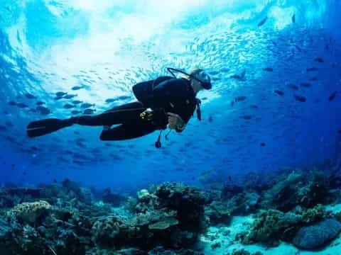 a scuba diver under water