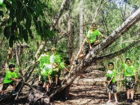 a group of people in a tree