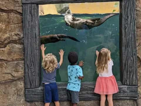 children looking at a fish tank