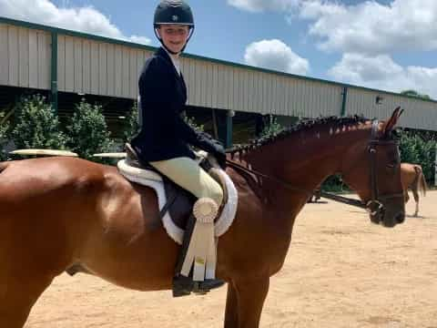 a person riding a horse