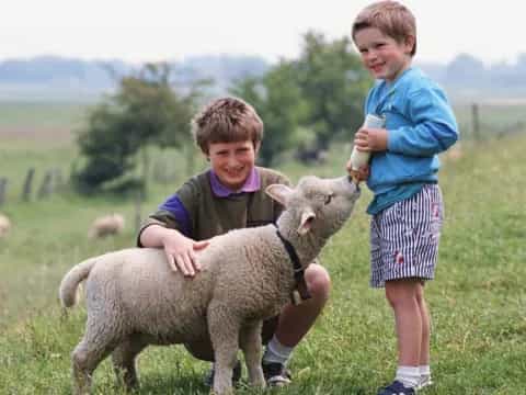 a couple of kids petting a sheep