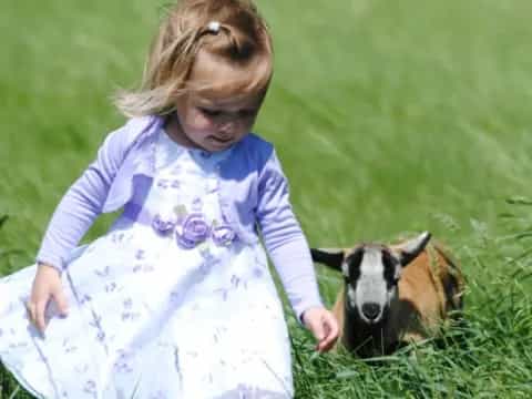 a girl petting a dog