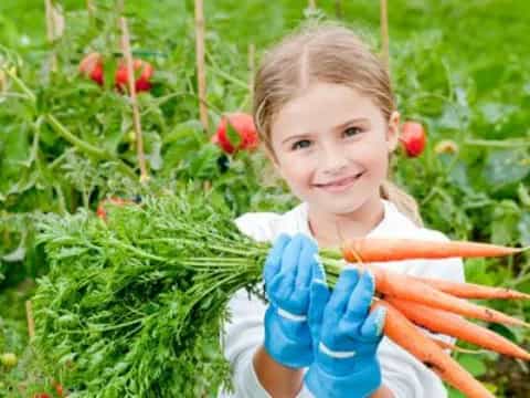 a girl holding a carrot