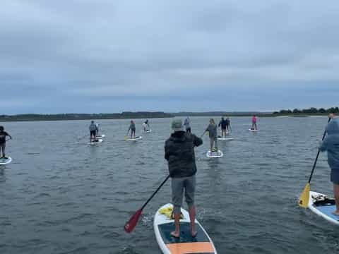 a group of people paddle on surfboards