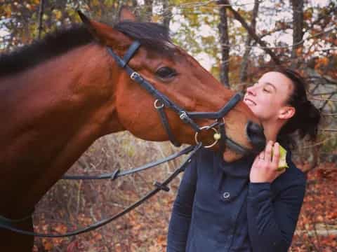 a person touching a horse