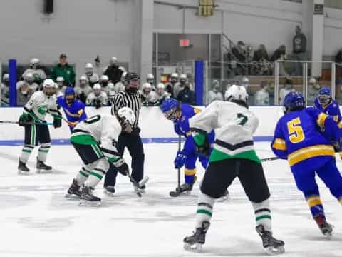 a group of people playing hockey