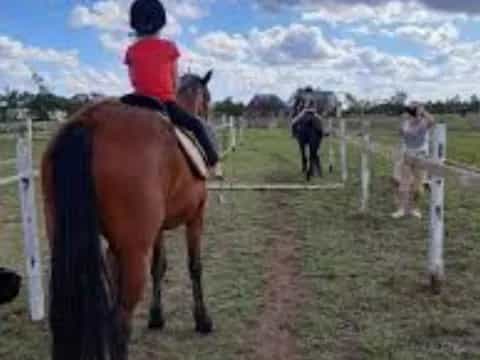 a person riding a horse