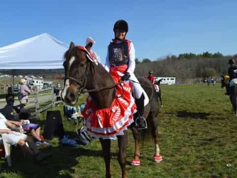 a man riding a horse