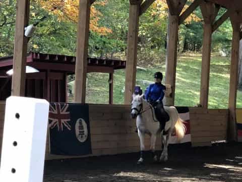 a person riding a horse