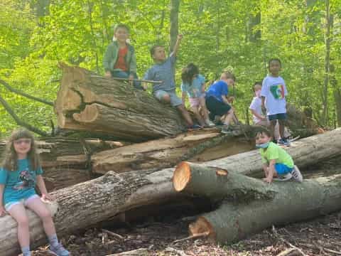 a group of kids on a log