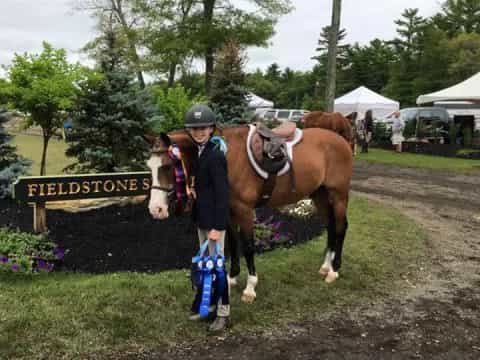 a person with a horse