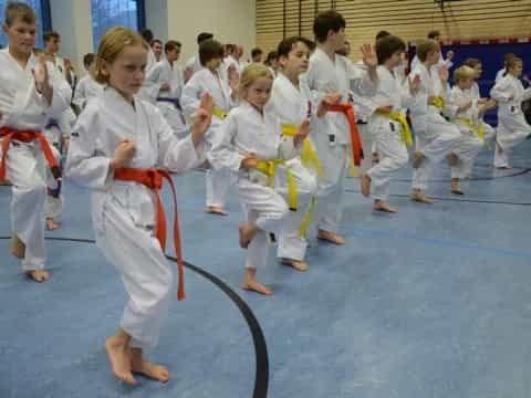 a group of children in karate uniforms