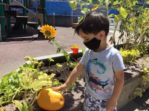 a young girl picking a pumpkin