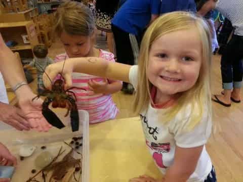 a girl holding a toy dinosaur