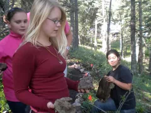 a group of people in the woods
