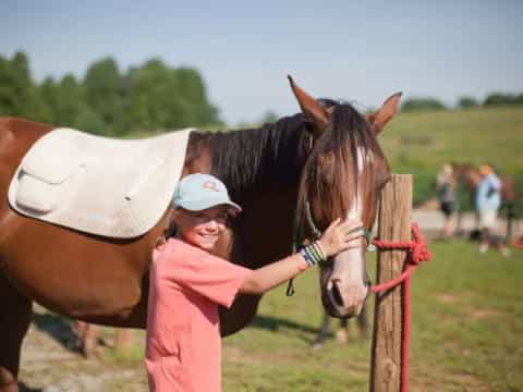 a person petting a horse