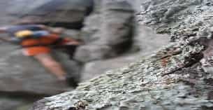 a close-up of a person's feet