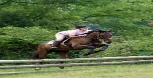 a jockey riding a horse