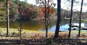 a lake with trees around it