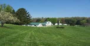 a large green field with trees and a house in the background