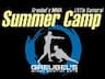 Little Samurai Summer Camp company logo