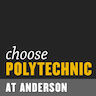 Purdue Polytechnic Institute Anderson company logo