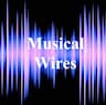 PLAYtek - Musical Wires company logo