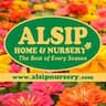 Alsip Home & Nursery company logo