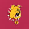 Ferris State Athletic Camps company logo