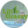 Little Grassy United Methodist company logo