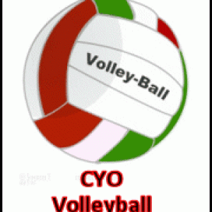 St. Martin of Tours CYO Volleyball company logo