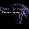 Dark Horse Tennis Academy company logo