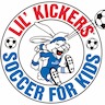 Danvers Indoor Sports Lil' Kickers company logo